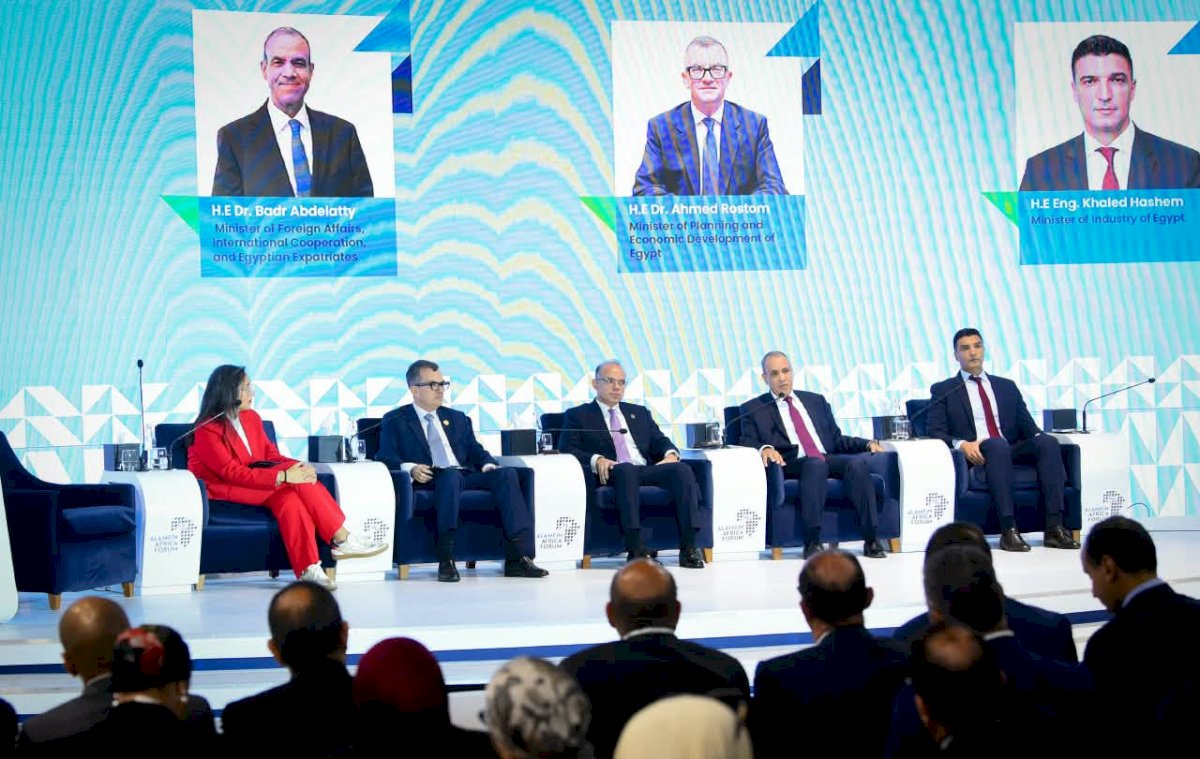 وزير الخارجية يشارك في نقاش حول دور ريادة الأعمال في التنمية الاقتصادية بأفريقيا