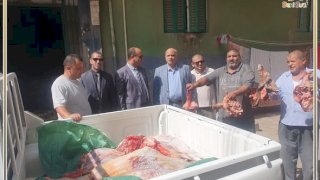ضبط 4 طن مخلل غير صالحة وسلع غذائية فاسدة في حملات تموينية على الأسواق والمخابز ببني سويف 