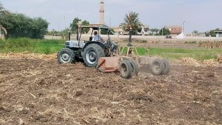 الزراعة:قافلة بيطرية لقرية "افوة المنتجة"وتجهيز الأرض للزراعة ببني سويف